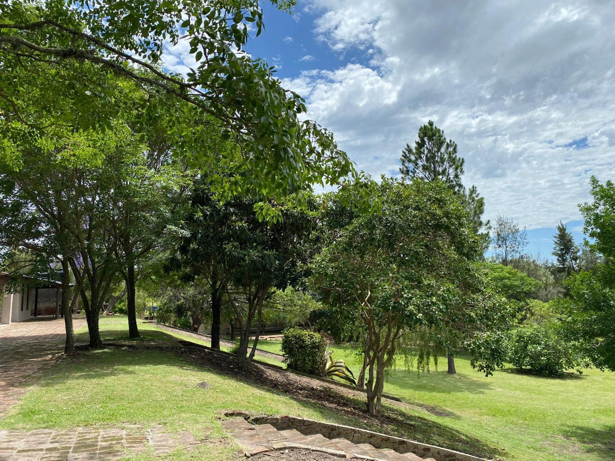Hotel La Castellana Paysandú Extérieur photo
